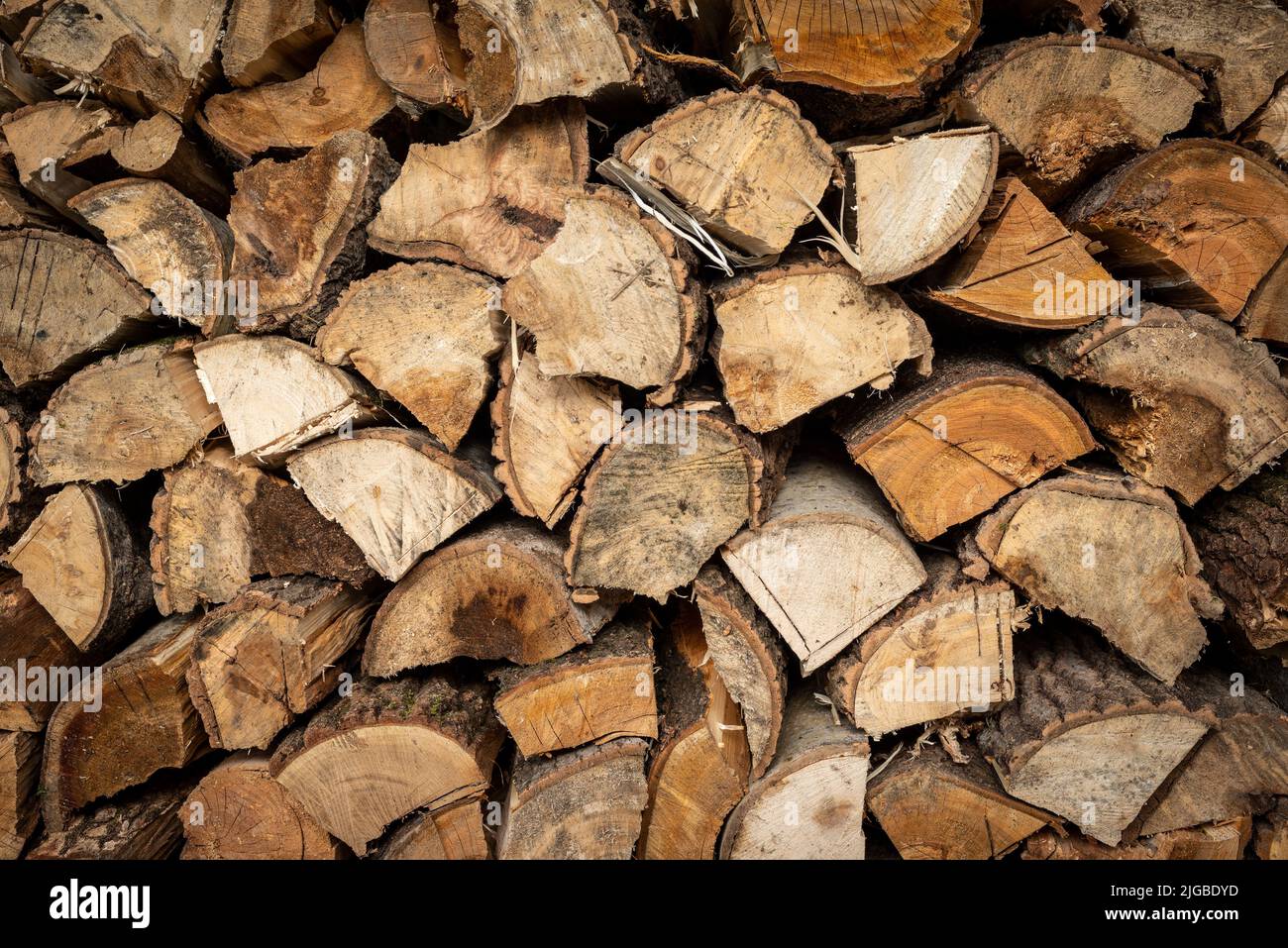 Tronchi Di Legna Da Ardere. Fotografia Stock - Immagine di materiale