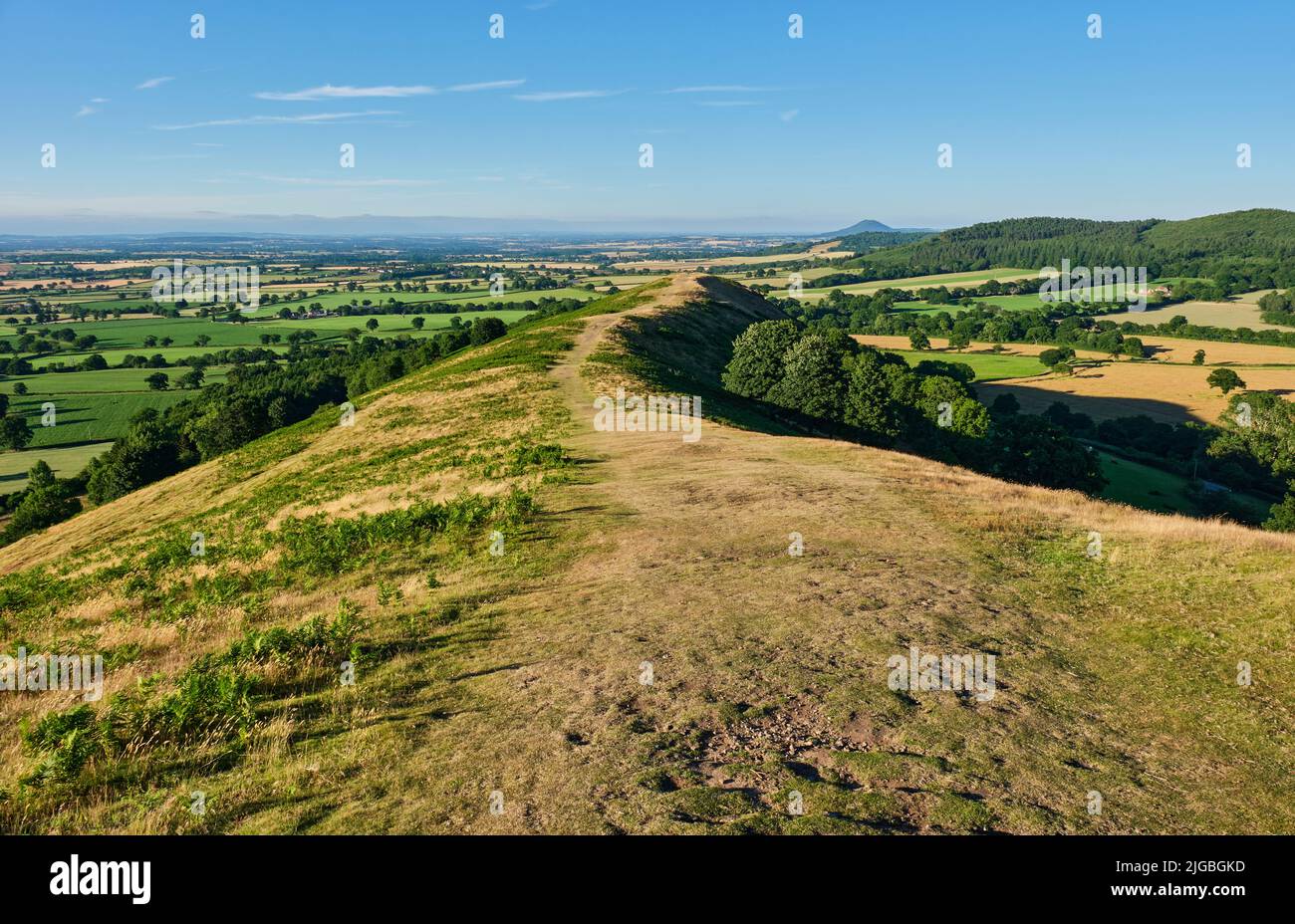 Il Lawley (guardando a nord verso il Wrekin) vicino a Church Stretton, Shropshire Foto Stock