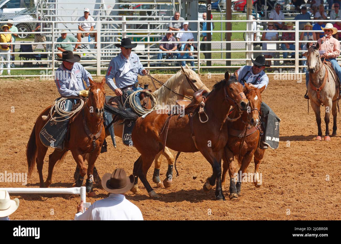 Rodeo, 3 uomini cavallo corrallo, lavoro, abilità, movimento, annunciatore a cavallo, spettatori, concorso, competizione, animali, persone, Crowd, Florida; Arcadia; Foto Stock