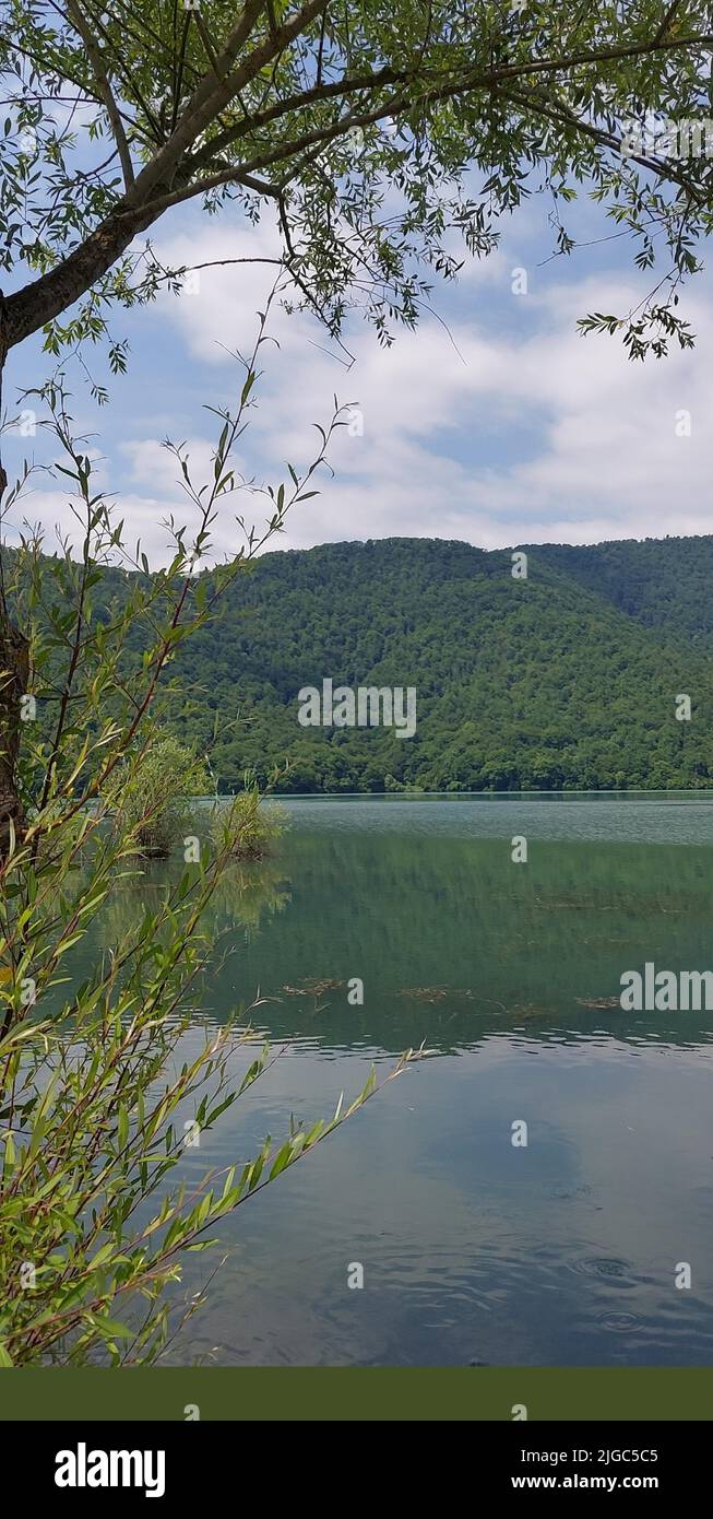 Lago Illustrazione Vettoriale