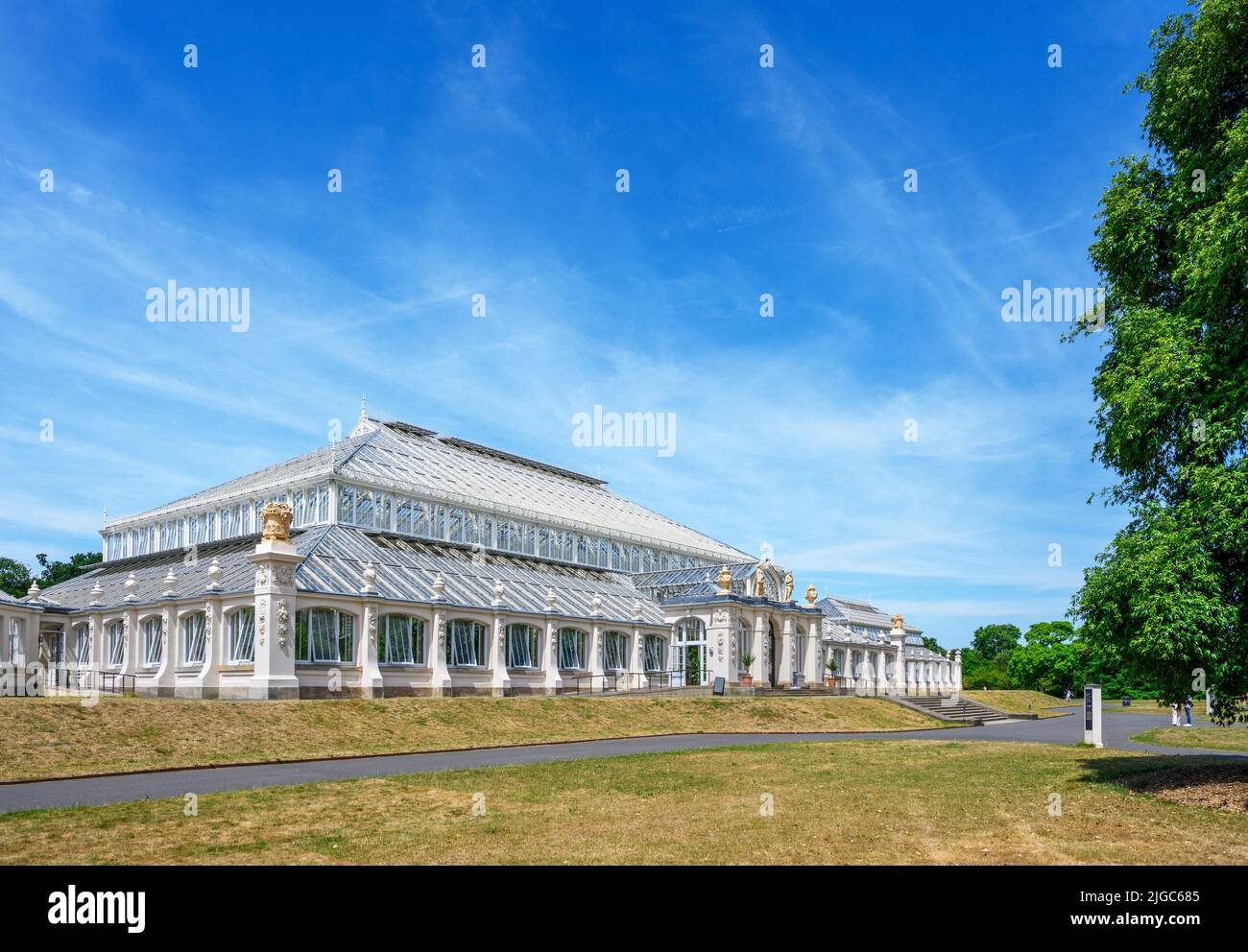The Tempperate House, Kew Gardens, Richmond, Londra, Inghilterra, REGNO UNITO Foto Stock