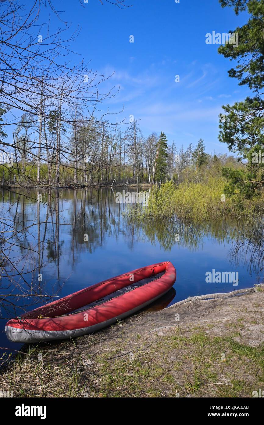 Kayak gonfiabile rosso vicino alla riva del fiume foresta. Passeggiata primaverile al Parco Nazionale. Foto Stock