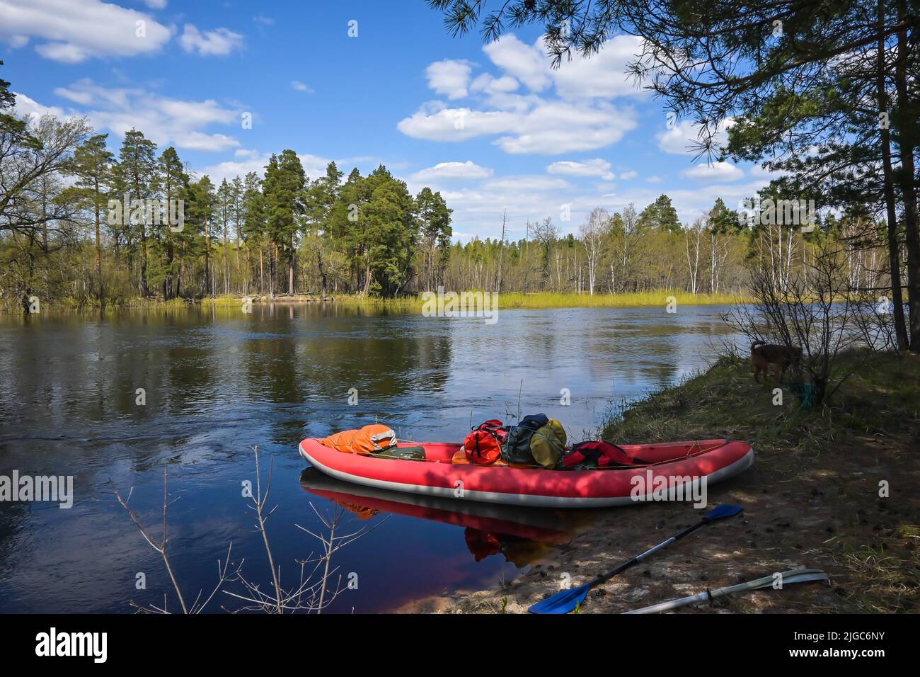 Kayak gonfiabile rosso vicino alla riva del fiume foresta. Passeggiata primaverile al Parco Nazionale. Foto Stock
