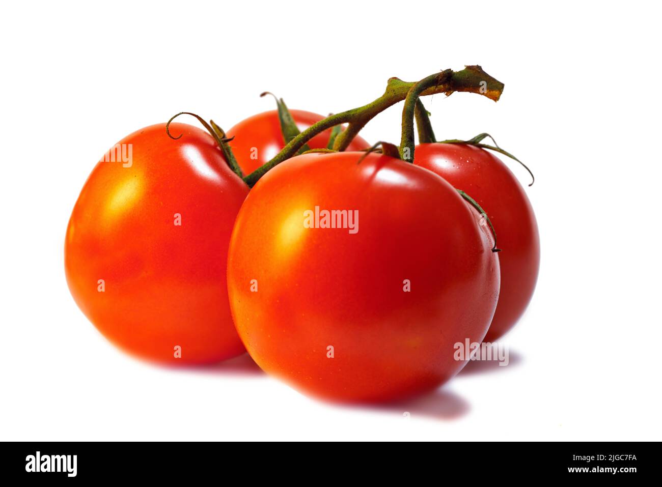 Un intero pomodoro fresco rosso brillante, vegetale isolato all'interno di un luminoso studio su sfondo bianco. Fresco dalla fattoria. Un sano e. Foto Stock