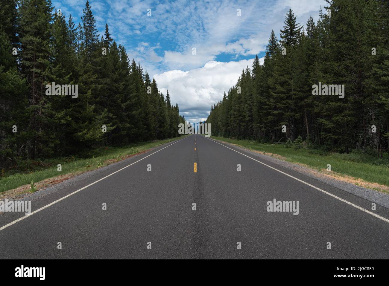 Lunga strada vuota nella foresta di montagna che si estende all'orizzonte, Central Oregon Cascade Lakes Scenic Highway Foto Stock