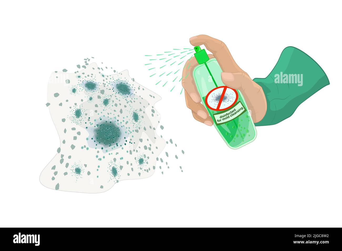 Mano con flacone spray disinfettante per pulizia stampo. Spruzzatore detergente contro la muffa e i germi nel braccio. Premere a mano il dispenser del flacone sulla macchia dello stampo Illustrazione Vettoriale
