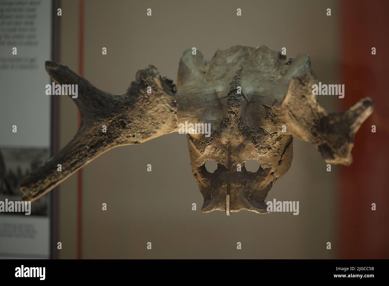 Maschera cranio al British Museum Foto Stock