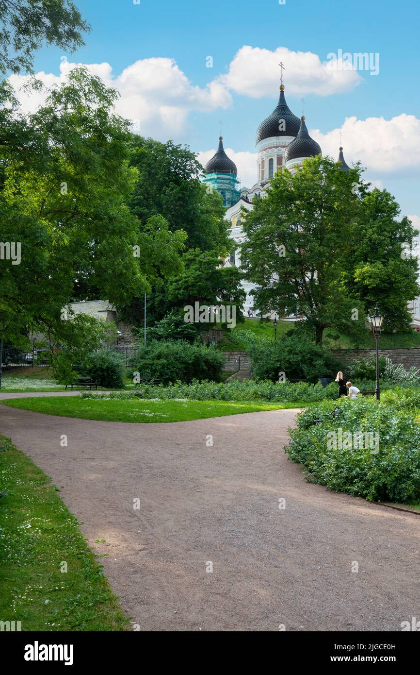 Tallinn, Estonia. Luglio 2022. Vista panoramica sul giardino Komandandi nel centro della città Foto Stock
