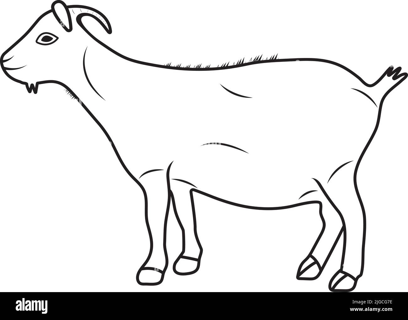 Illustrazione vettoriale di capra di montagna o disegno piatto dello stambecco per fotoricettore e stampa e app Illustrazione Vettoriale