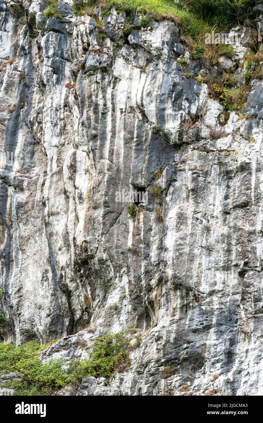 Scogliera di montagna nella natura selvaggia della Spagna. Roccia con erba verde e vegetazione Foto Stock