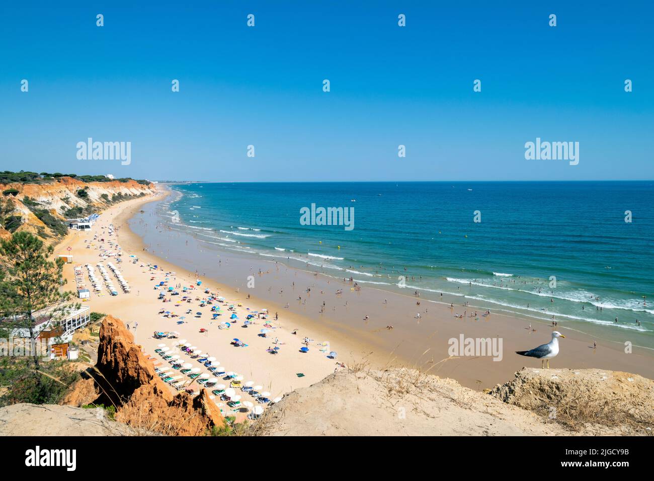 Portogallo, Algarve, falesia spiaggia ' praia da falésia '. Turismo del Portogallo del Sud con belle spiagge e alberghi. Estate spiaggia tempo in Algarve. Europeo Foto Stock