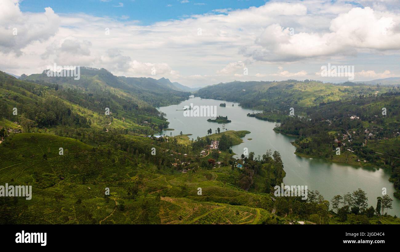Drone aereo di colline con piantagioni di tè intorno al lago in montagna. Maskeliya, Castlereigh, Sri Lanka. Foto Stock