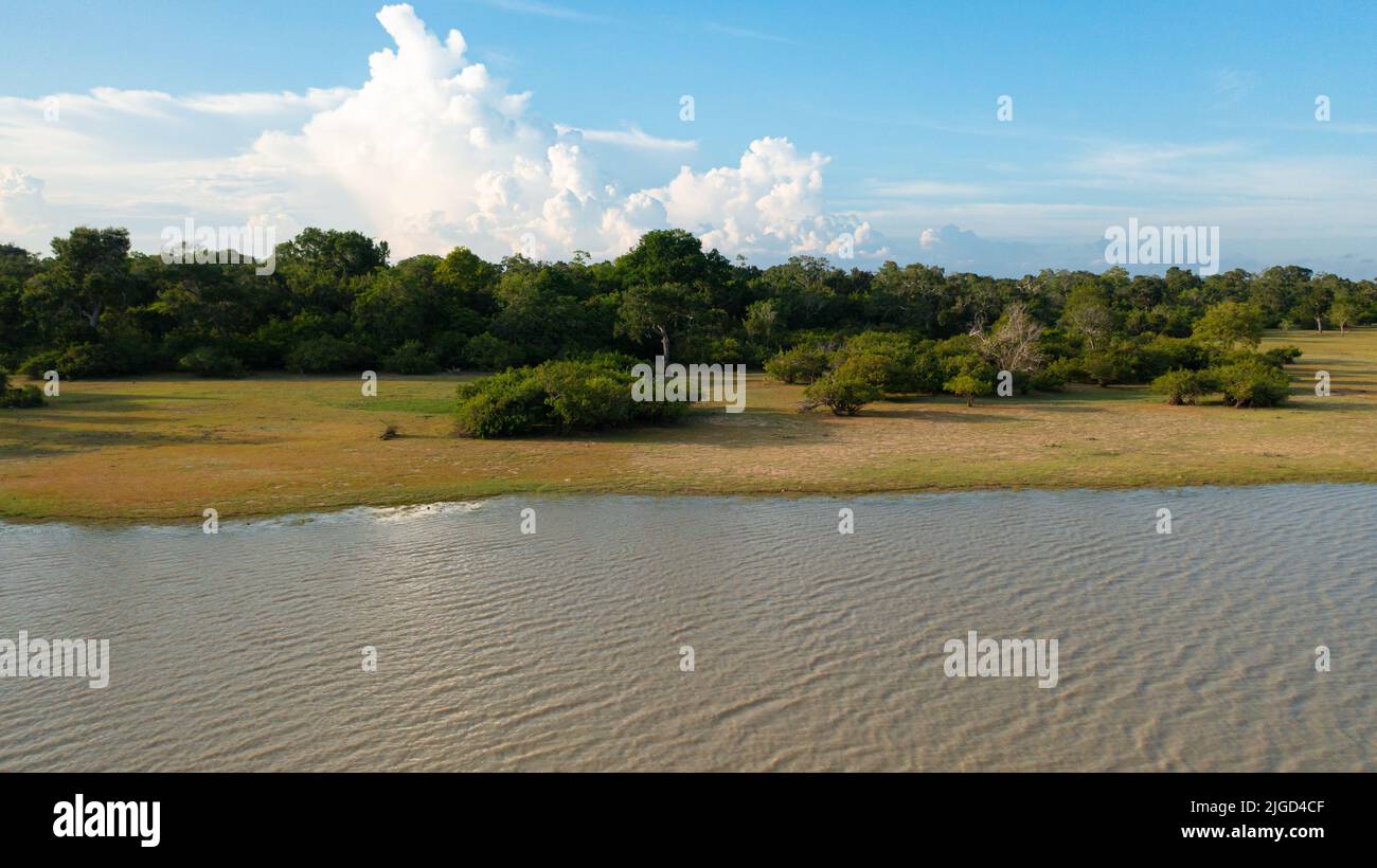Vista dall'alto del lago e della foresta pluviale contro il cielo blu. Parco nazionale di Kumana. Paesaggio tropicale. Foto Stock