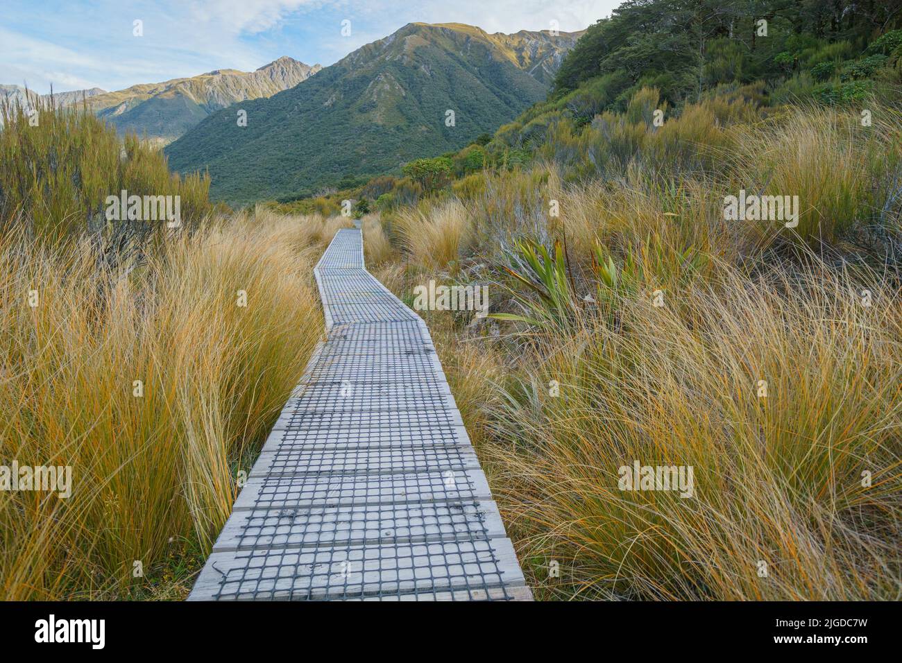 Passerella in legno che conduce attraverso la bassa vegetazione di montagna in Arthur's Pass., Isola del Sud Nuova Zelanda. Foto Stock