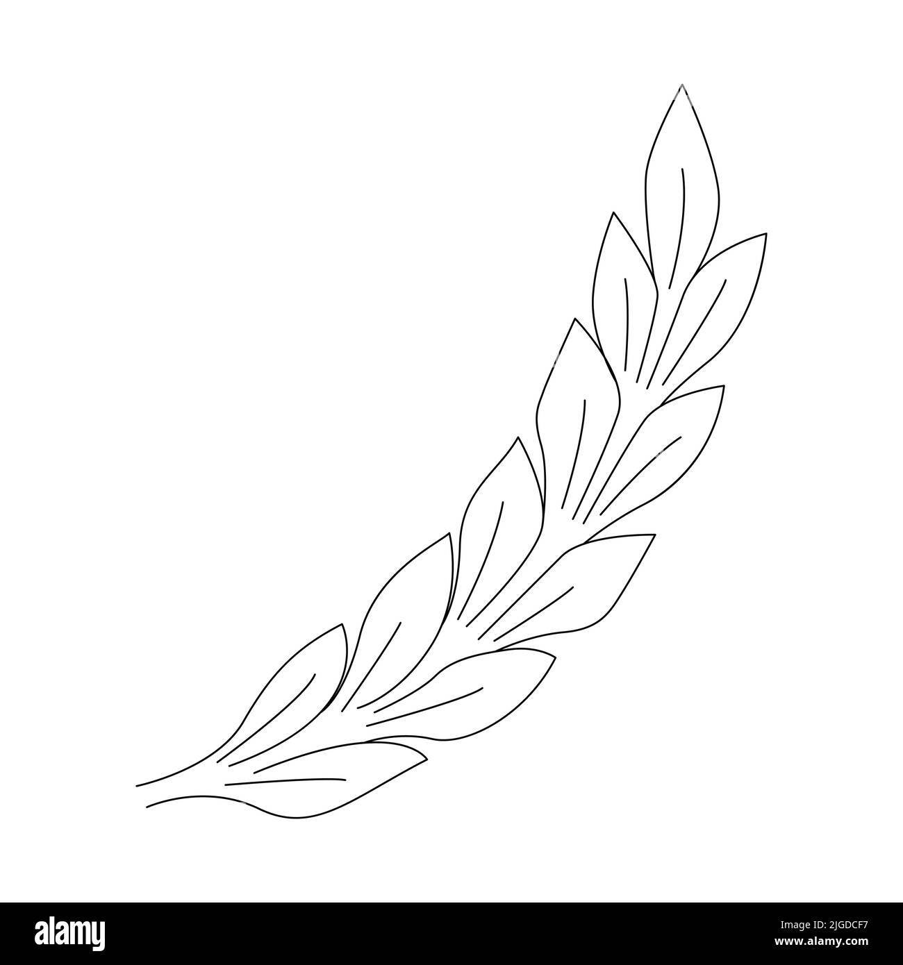 Icona foglia linee tracciate a mano. Illustrazione vettoriale Illustrazione Vettoriale