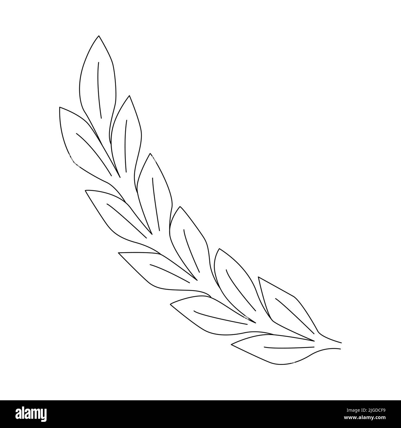 Icona foglia linee tracciate a mano. Illustrazione vettoriale Illustrazione Vettoriale