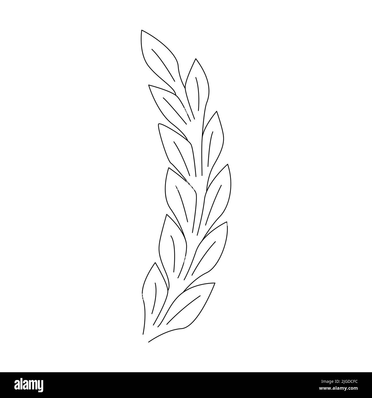 Icona foglia linee tracciate a mano. Illustrazione vettoriale Illustrazione Vettoriale