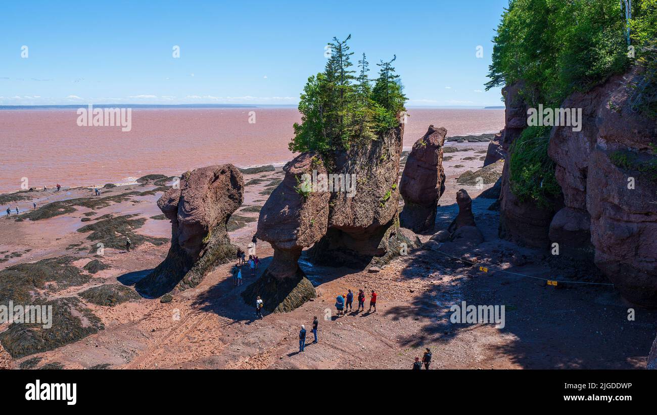 I turisti esplorano le rocce di Hopewell con la bassa marea. Hopewell Rocks Provincial Park, Bay of Fundy, New Brunswick, Canada Foto Stock