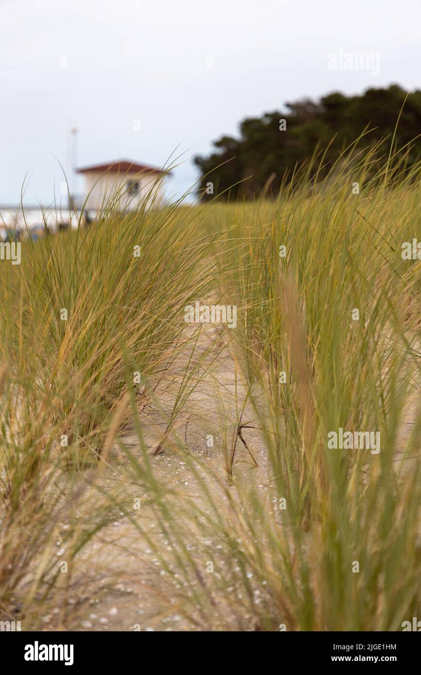 Una duna con una grande torre di salvataggio a Zempin su Usedom Foto Stock