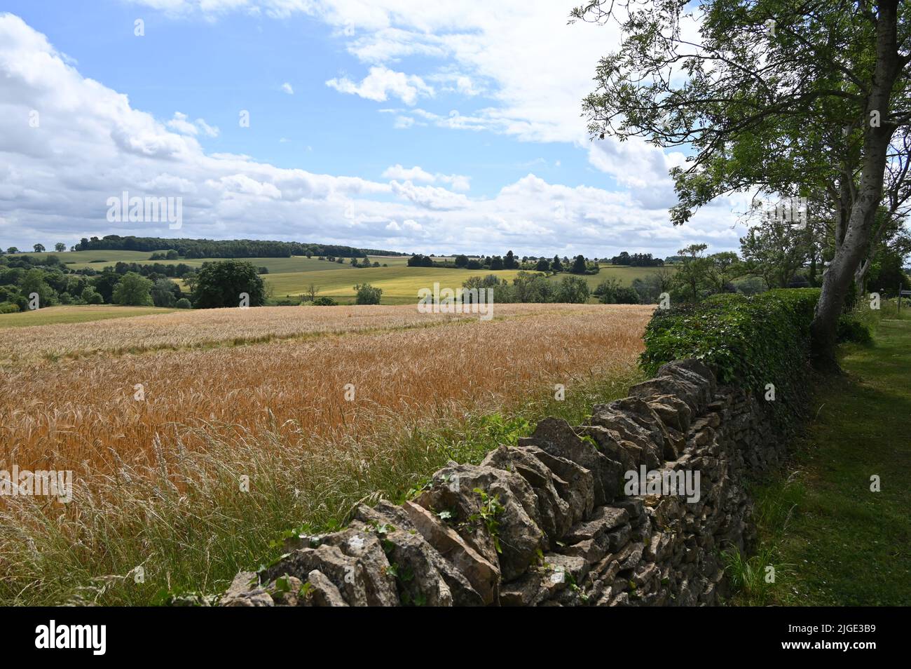 Vista sulla campagna da una strada vicino al villaggio Gloucestershire di Condicote vicino a Stow on the Wold Foto Stock