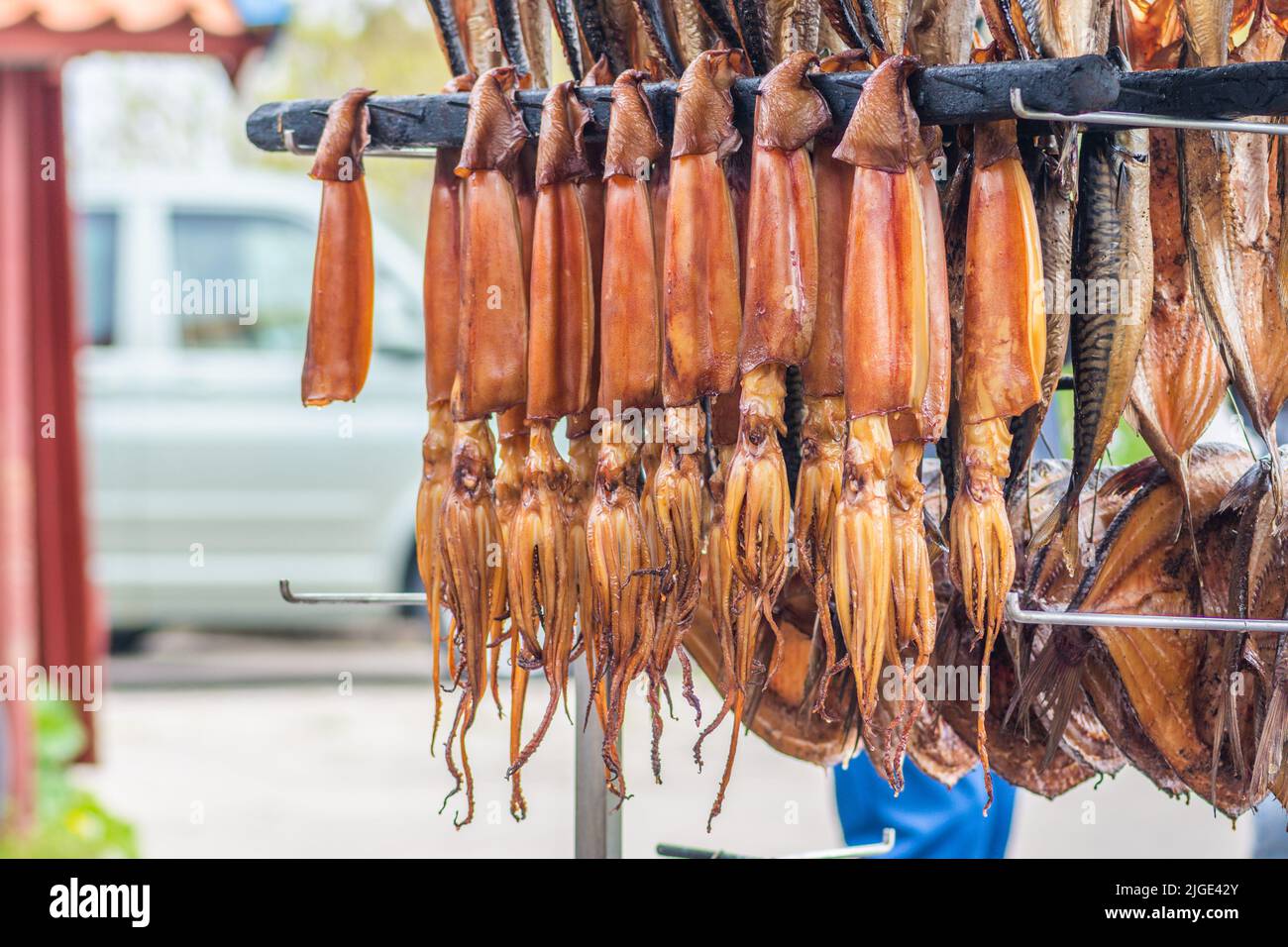 Appendendo i calamari secchi del fumo o le seppie in un mercato del pesce appena fumato con i trucioli di legno duro in un fumatore e pronto da mangiare Foto Stock