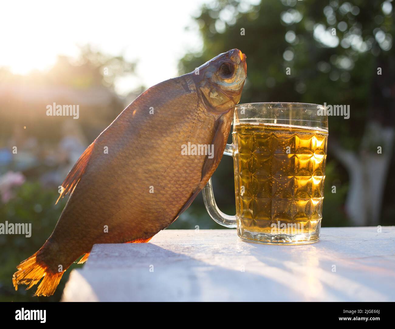 bicchiere di birra dorata appena versata e deliziosi spuntini alla birra - pesce secco - illuminato dalla luce del sole. Snack per birra al liscivio secco. Vacanza con gusto. Foto Stock