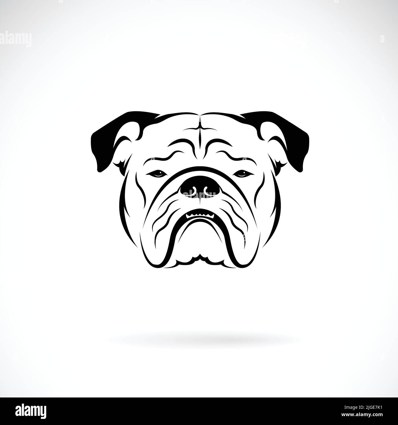 Vettore di disegno testa bulldog su sfondo bianco. PET. Animali. Illustrazione vettoriale a livelli facilmente modificabile. Illustrazione Vettoriale