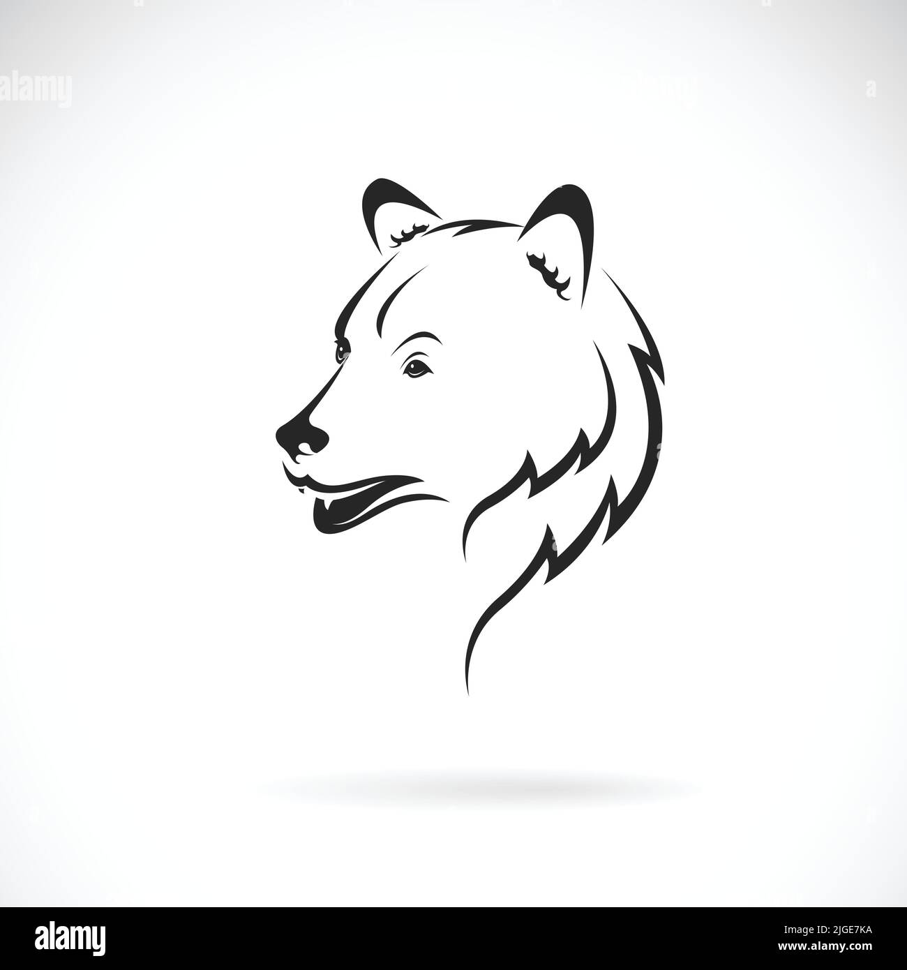 Vettore di testa orso disegno su sfondo bianco., Animali selvatici. Illustrazione vettoriale a livelli facilmente modificabile. Illustrazione Vettoriale