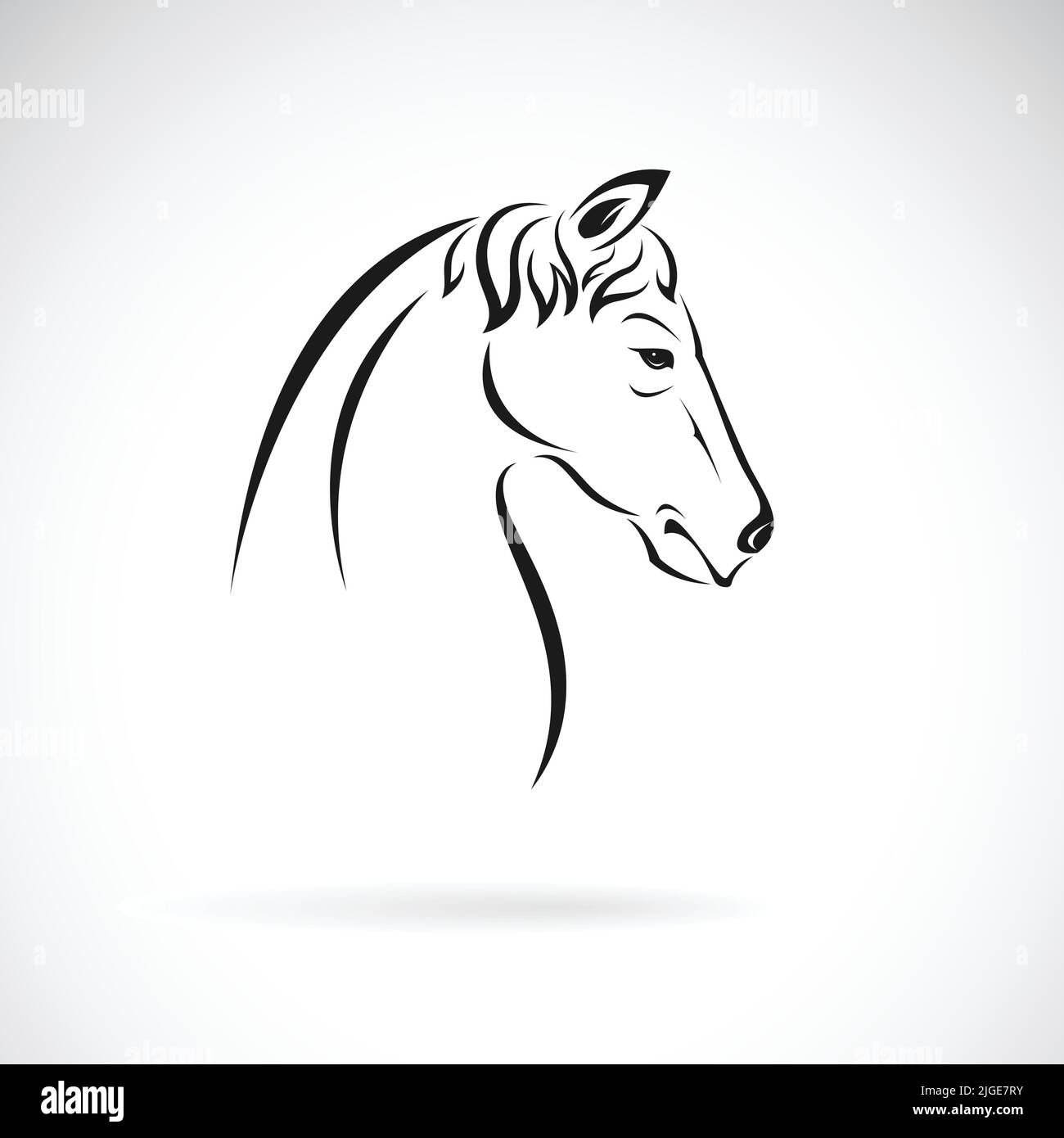 Vettore di disegno testa di cavallo su sfondo bianco. Animali selvatici. Illustrazione vettoriale a livelli facilmente modificabile. Illustrazione Vettoriale