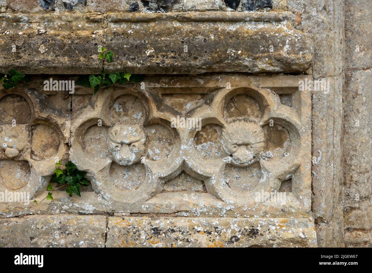 Facce di tipo lupo animale intagliate nel fregio delle pareti esterne della chiesa di San Michele, Tunstall, Suffolk, Regno Unito Foto Stock