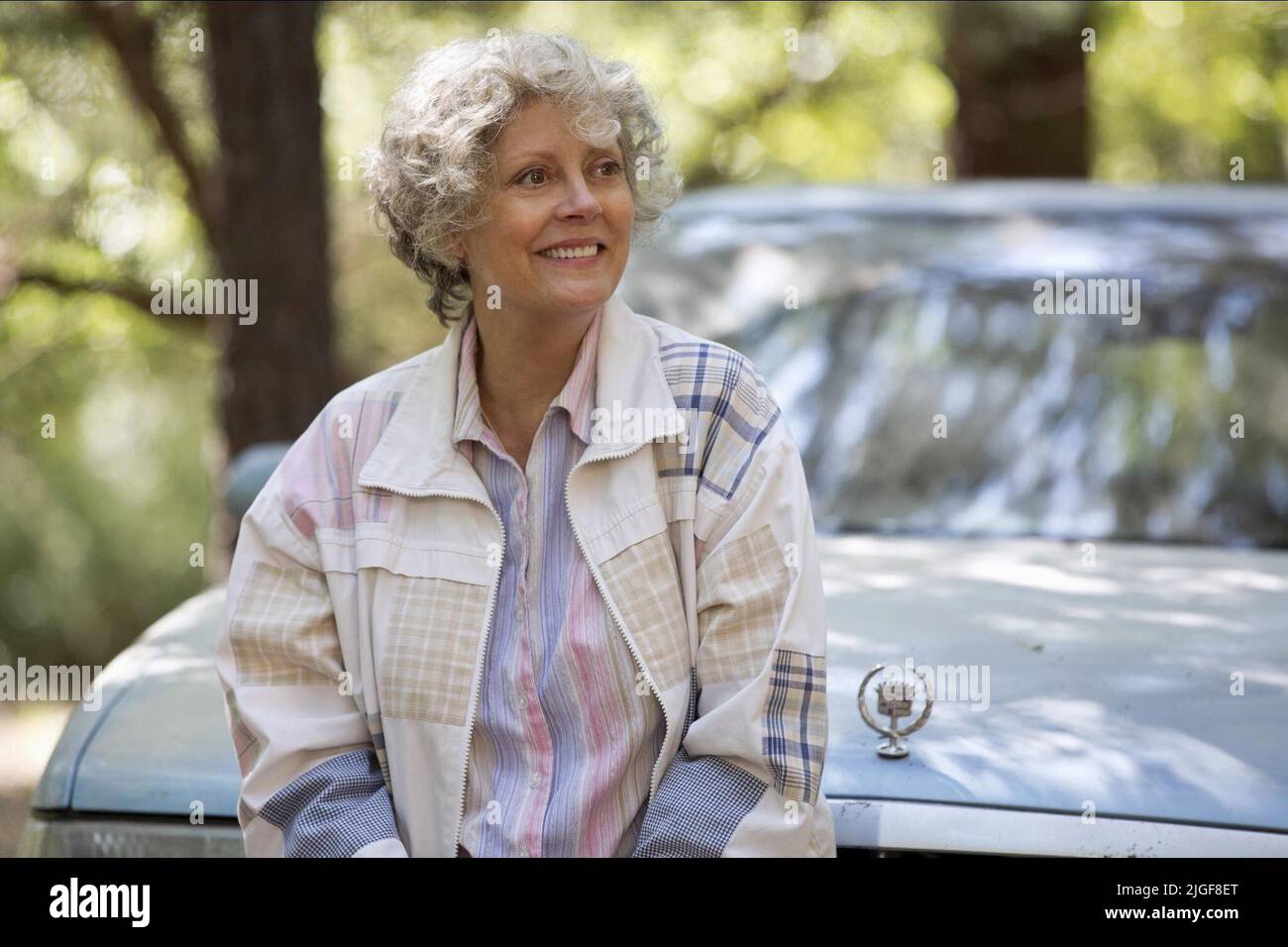 SUSAN SARANDON, TAMMY, 2014 Foto Stock