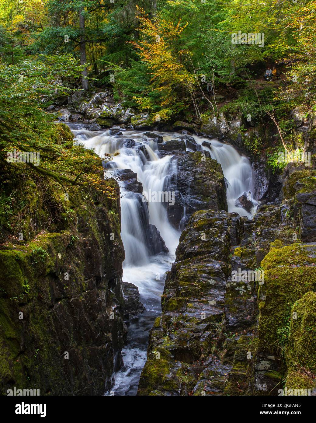 Dunkeld, Scozia - Ottobre 11th 2021:la bella cascata Black Linn nel bosco dell'Hermitage, a Dunkeld, Scozia. Foto Stock