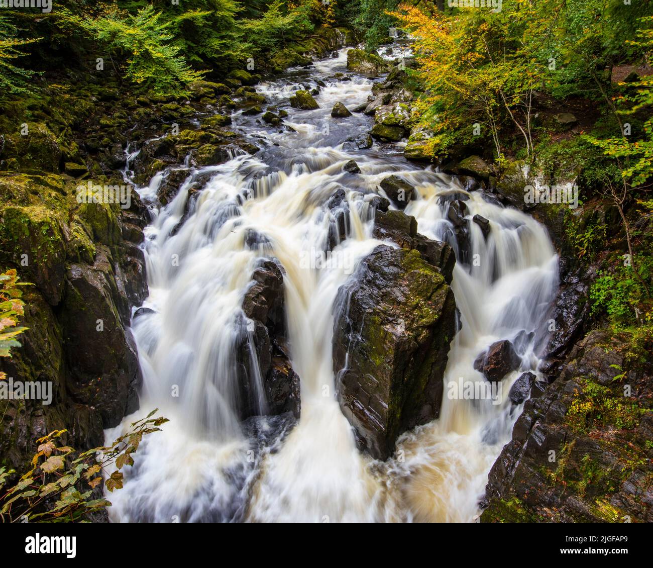 La splendida cascata Black Linn nel bosco dell'Hermitage, a Dunkeld, Scozia. Foto Stock