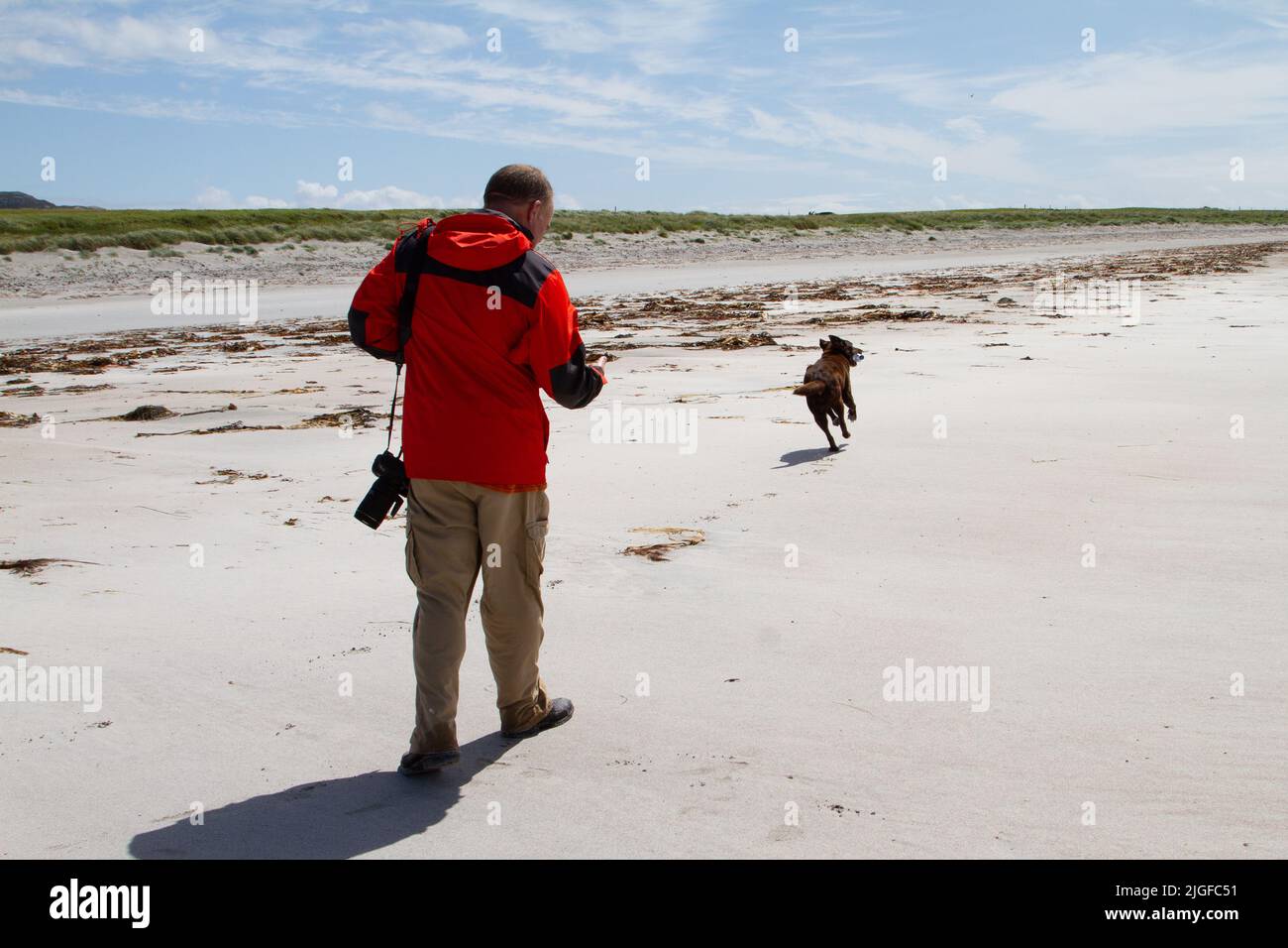 Un uomo di mezza età in una giacca rossa brillante che gioca con un cane su una spiaggia di sabbia bianca a South Uist Foto Stock
