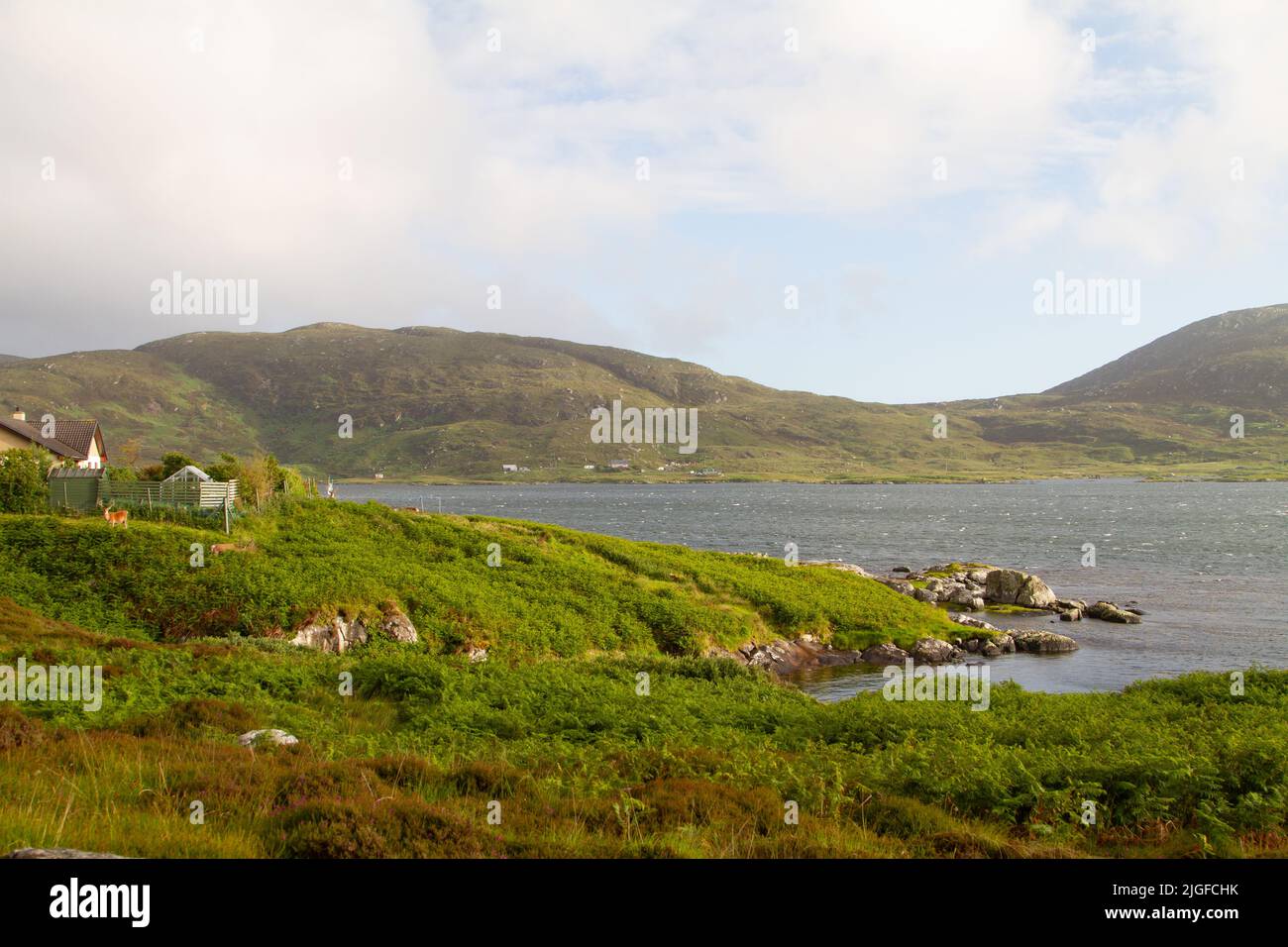 Loch Eynort su South Uist, con stags pascolo in lontananza Foto Stock