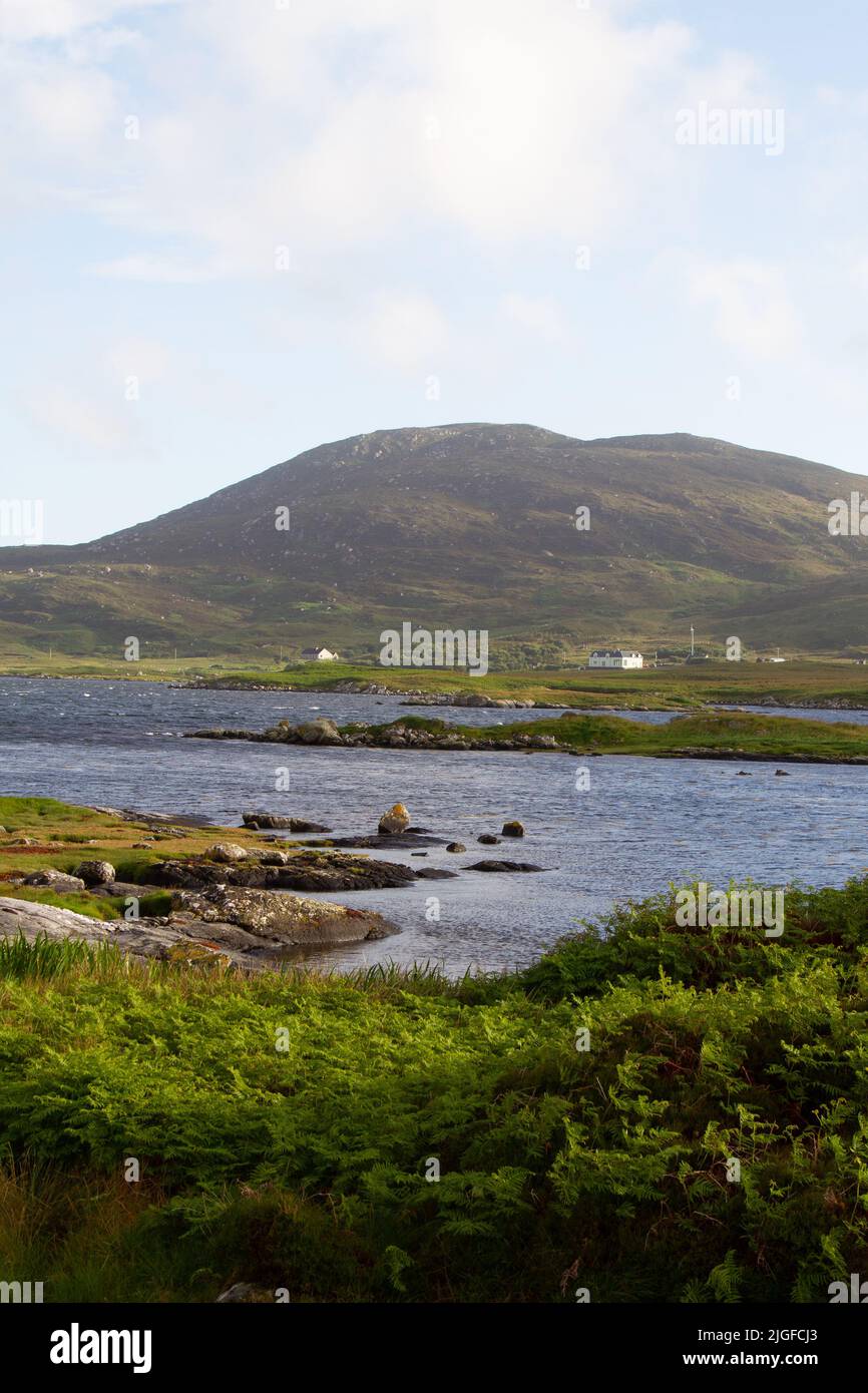 Vista di Loch Eynort/Loch Aineort, South Uist, Ebridi esterne, Scozia Foto Stock