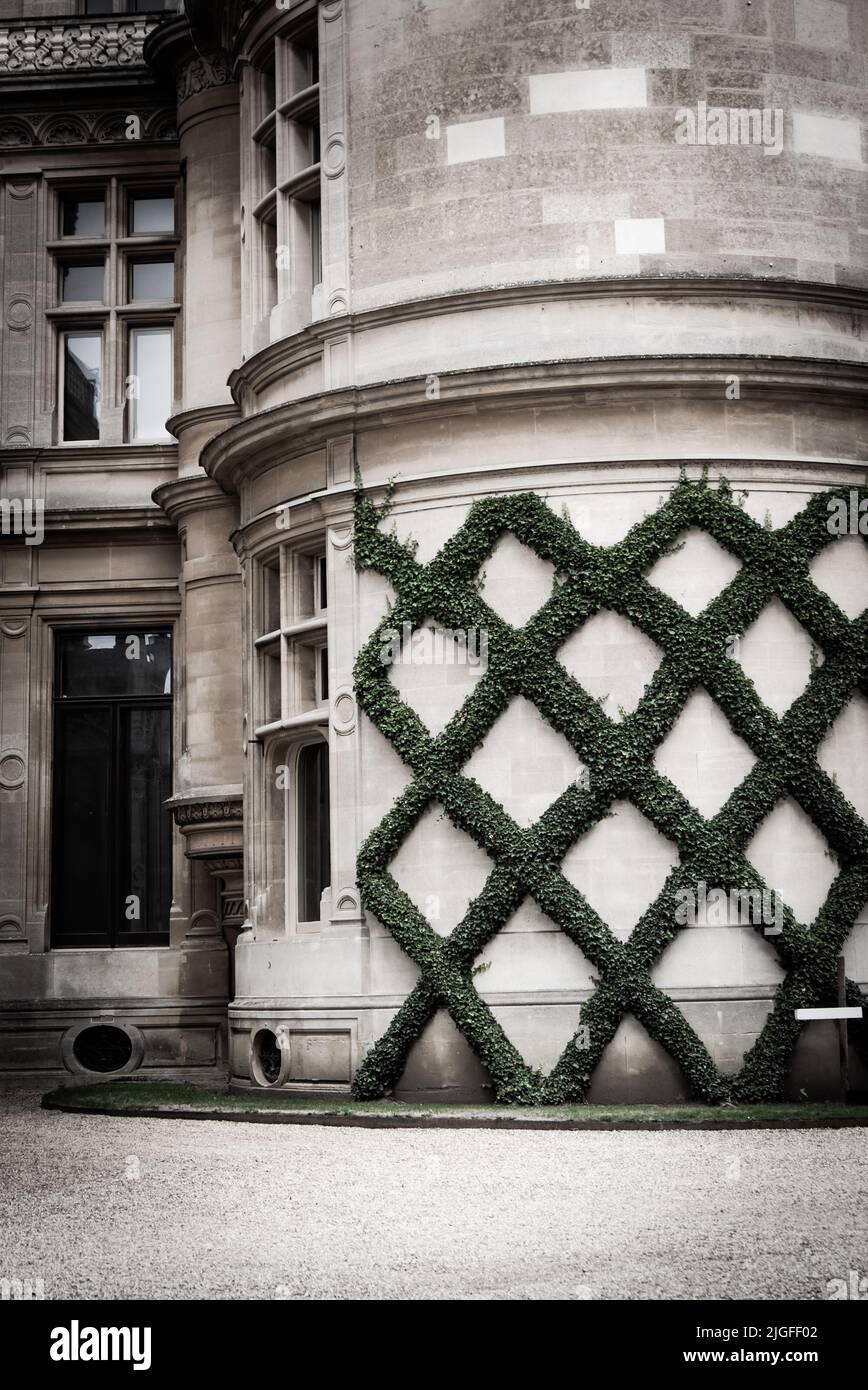 Un'iconica siepe traliccio che cresce sui lati delle torri a Waddesdon Manor nel Buckinghamshire. Foto Stock