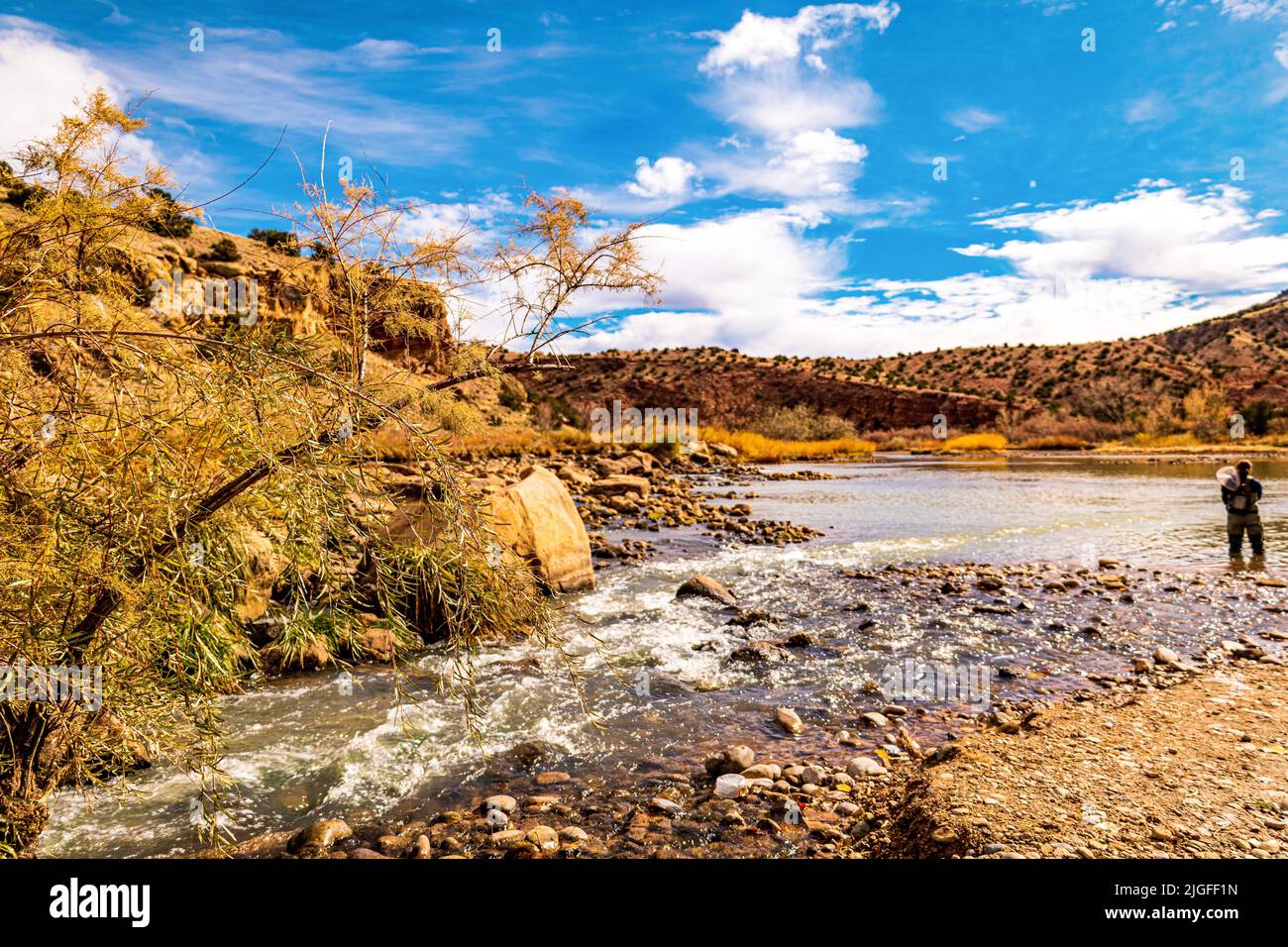 Un uomo cattura la pesca a mosca nel Rio Chama, New Mexico in giornata di sole sotto il cielo nuvoloso blu Foto Stock