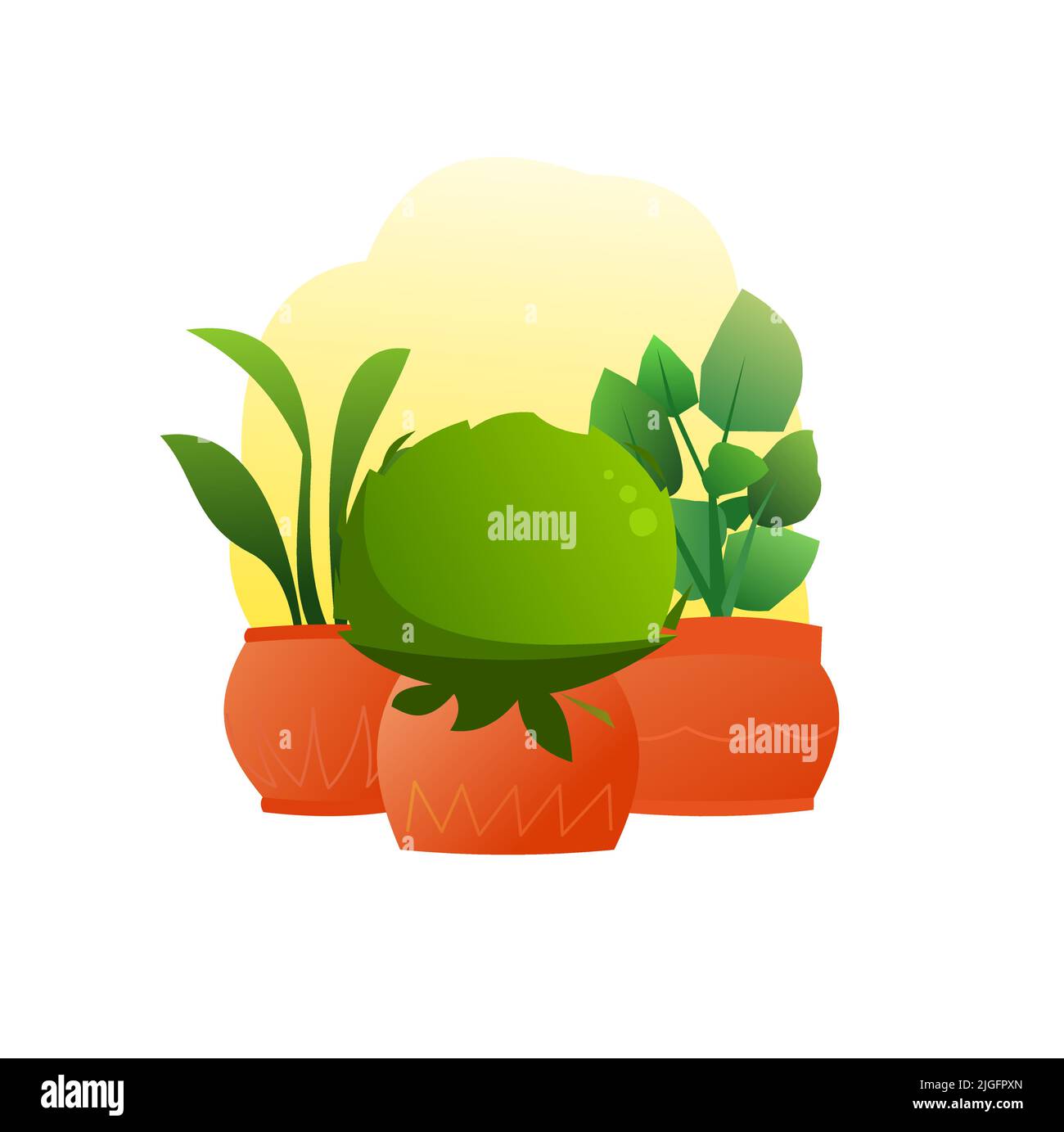 Piante e fiori interni. Vita morta. In pentole di ceramica. Belle erbe fatte in casa. Isolato su sfondo bianco. Stile divertente Cartoon. Vettore Illustrazione Vettoriale