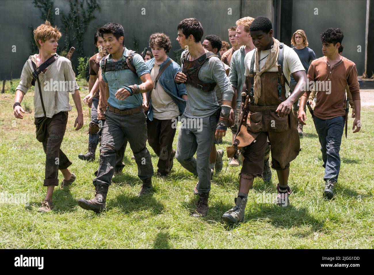 THOMAS BRODIE-SANGSTER, KI HONG LEE, Dylan O'Brien, DEXTER DARDEN, ALEXANDER FLORES, il Labirinto del runner, 2014 Foto Stock