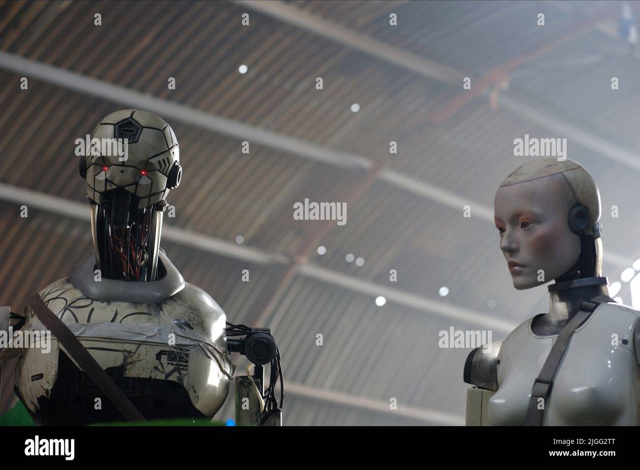 ROBOT PELLEGRINI UMANOIDI, AUTOMATA, 2014 Foto Stock