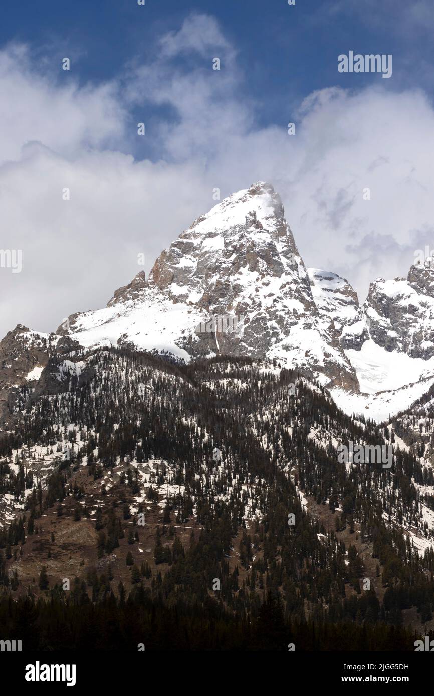 La vetta più alta e coperta di neve del Grand Teton NP, Grand Teton, 13.775 metri circa, si erge contro un cielo blu del Wyoming. Foto Stock