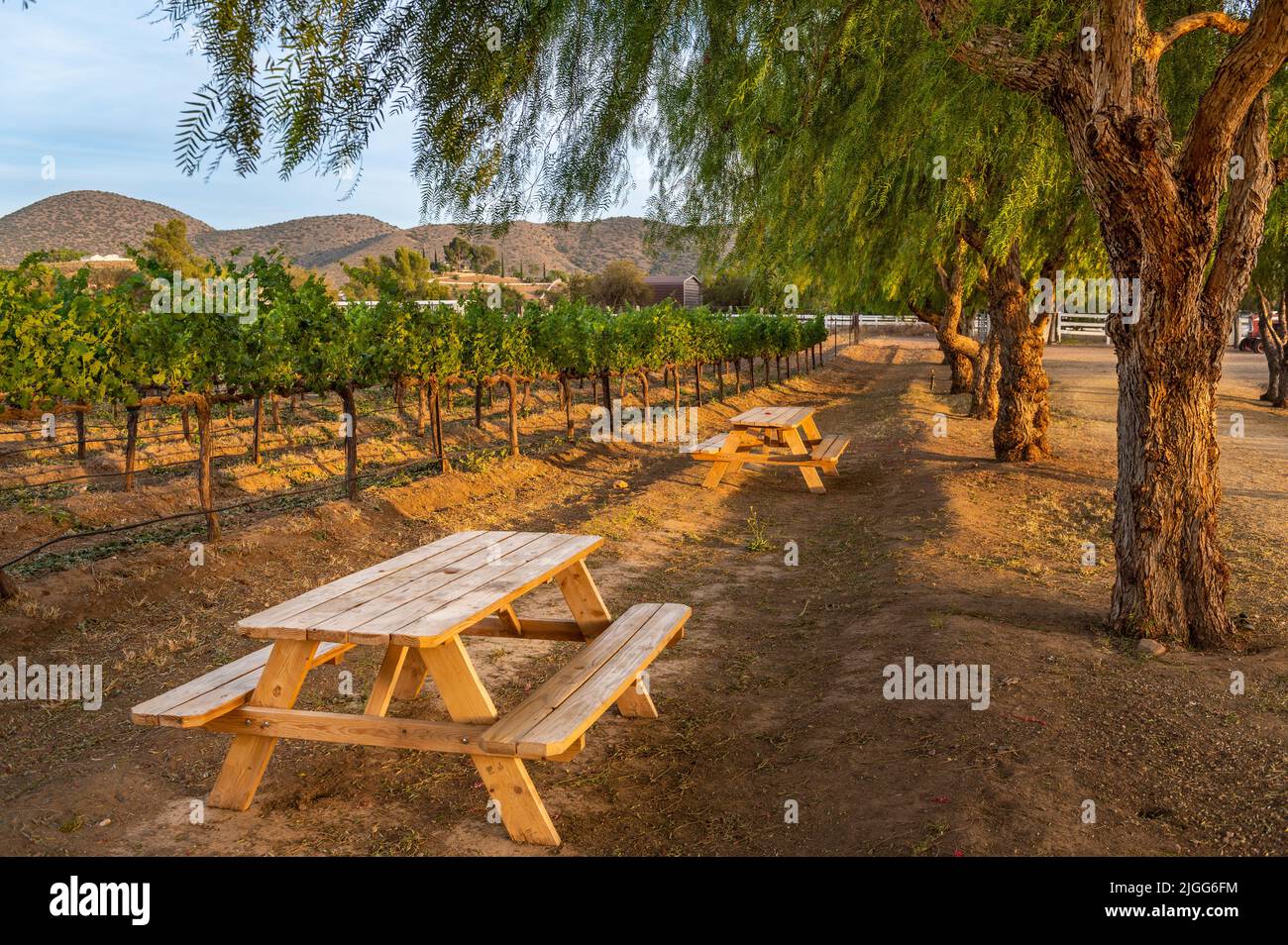 Splendida azienda vinicola Agua Dulce durante il tramonto Foto Stock