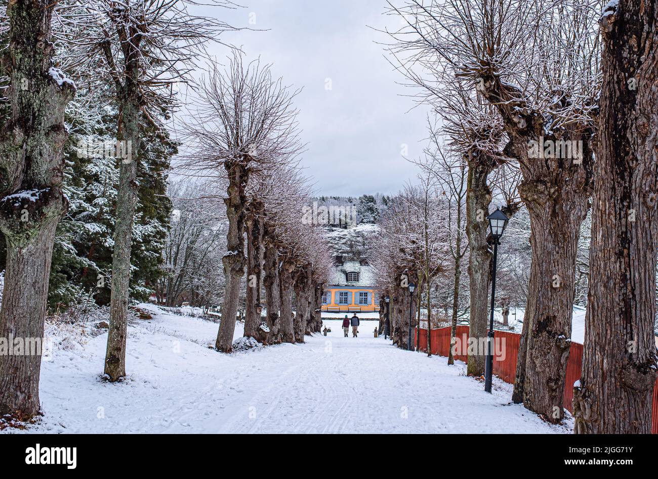 Paesaggio invernale con edifici e alberi, Nacka, Stoccolma, Svezia Foto Stock
