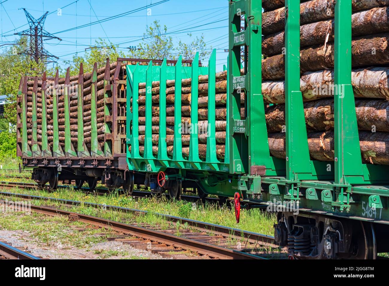 carri ferroviari caricati per il trasporto di tronchi da vicino Foto Stock