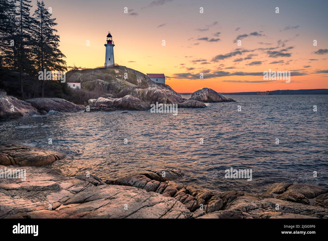Lighthouse Park a Vancouver, BC, Canada, all'alba in una giornata di sole Foto Stock