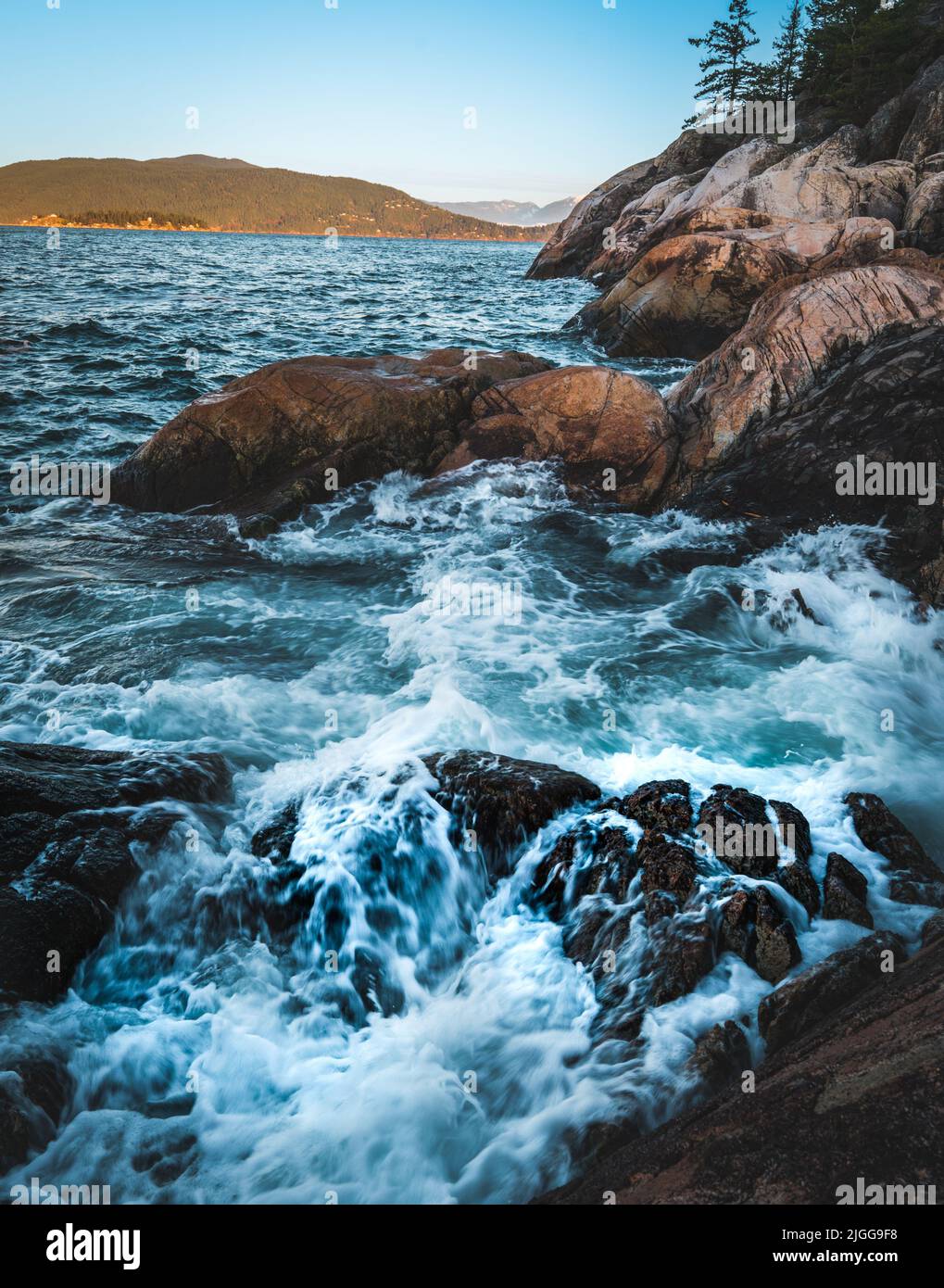Lighthouse Park a Vancouver, BC, Canada, all'alba in una giornata di sole Foto Stock