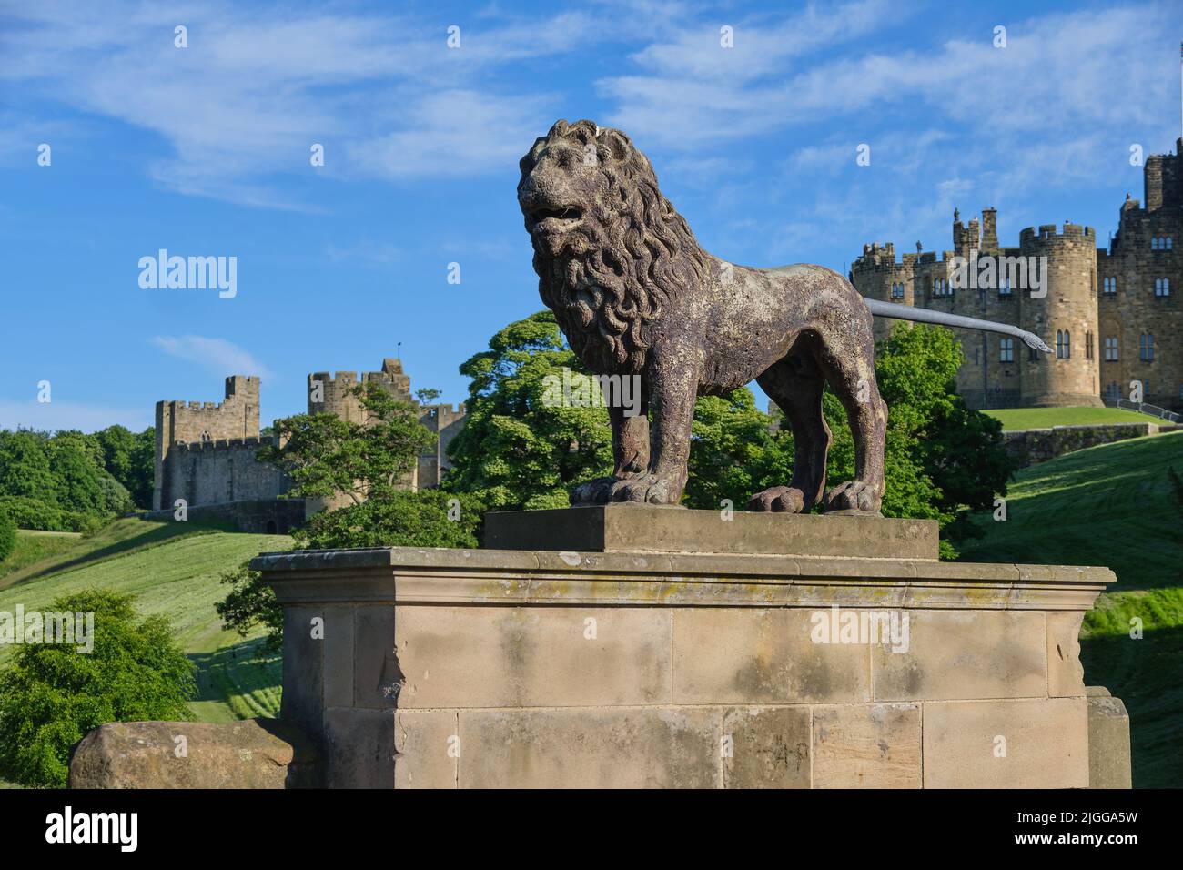 Il Leone di Alnwick Foto Stock