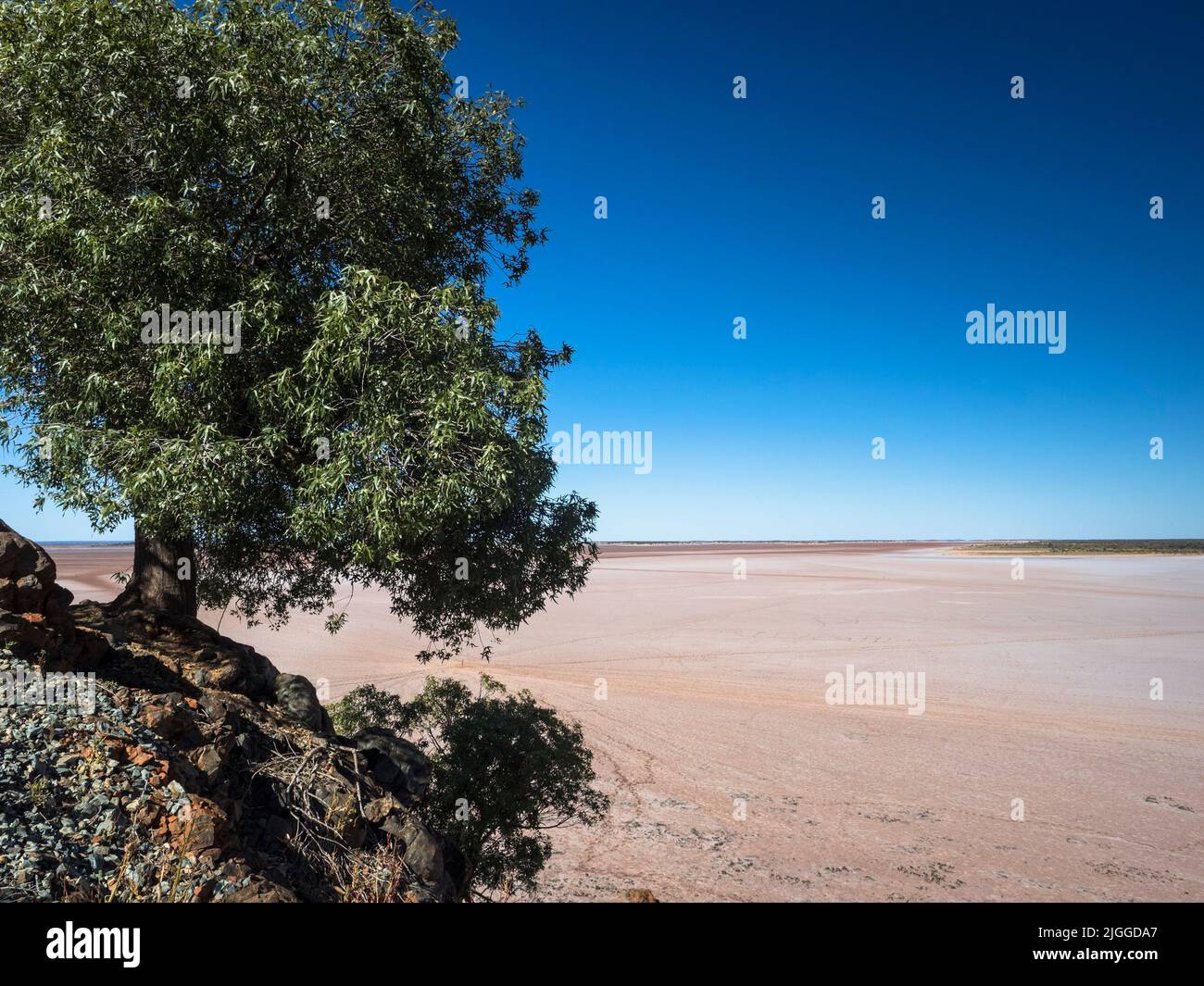 Albero aggrappato ad una piccola collina che domina la distesa minimalista e vuota di Dry, Salt Lake Ballard (famoso per il 'Salt People' di Sir Antony Gormley). Foto Stock
