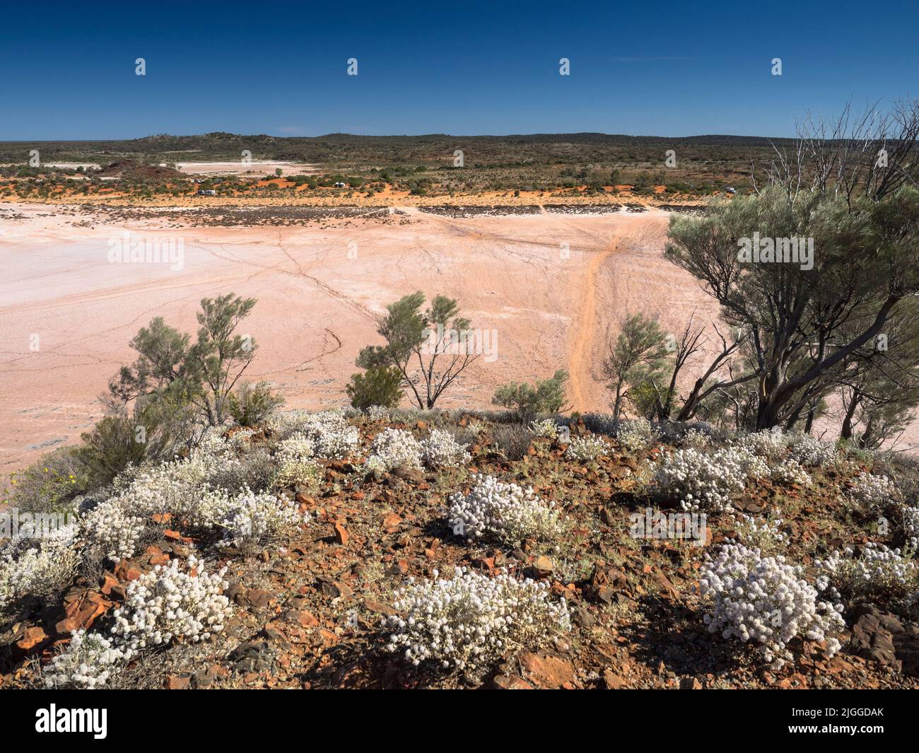 Le piste conducono attraverso la crosta di sale del Lago di Ballard asciutto dal campeggio Lakeshore a una piccola collina e punto panoramico di fronte. Foto Stock